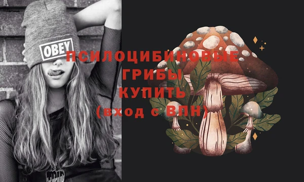тгк Аркадак