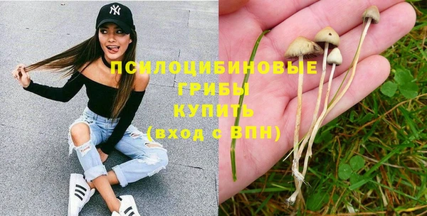 тгк Аркадак