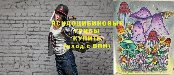 тгк Аркадак